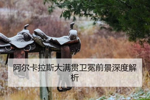 阿尔卡拉斯大满贯卫冕前景深度解析
